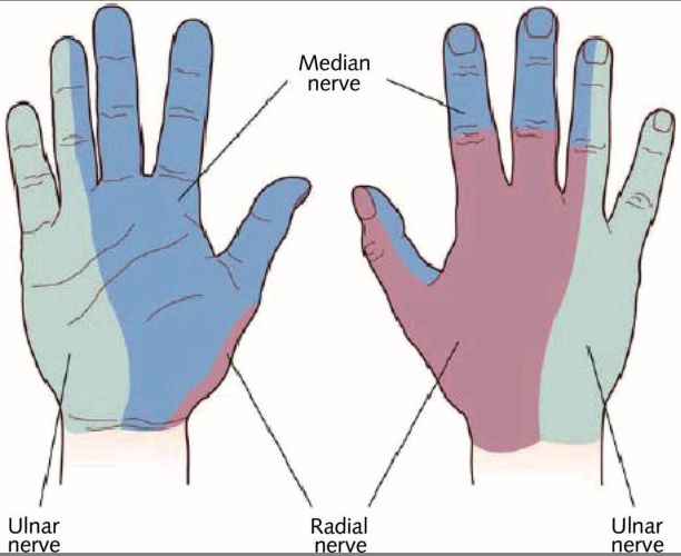 fingers-sensitivity